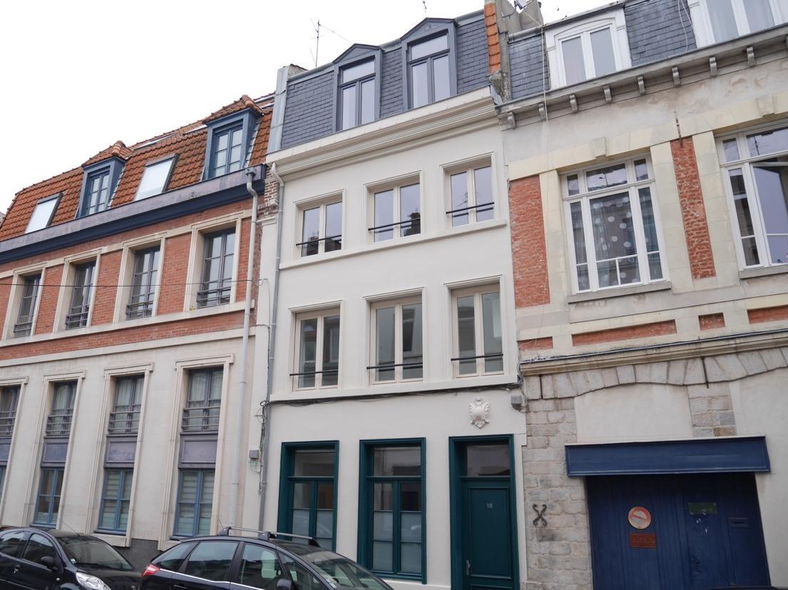 Le Chat Qui Dort Lille France