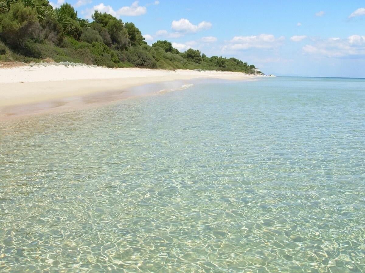 Book Villa in the pine forest by the sea in Sardinia – Best Hotel in Santa Margherita di Pula