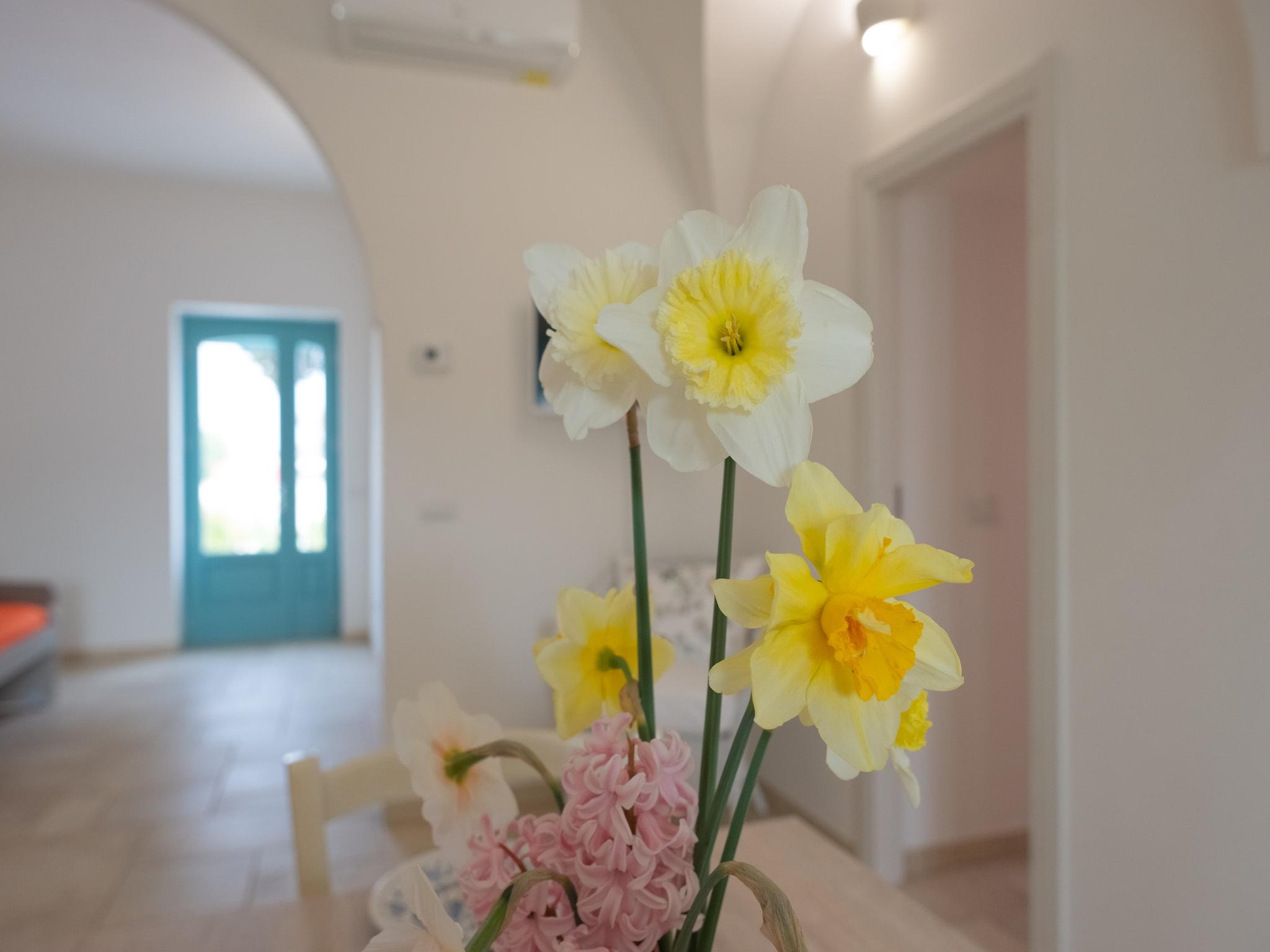 Book Beautiful property with annex in Locorotondo – Best Hotel in Locorotondo