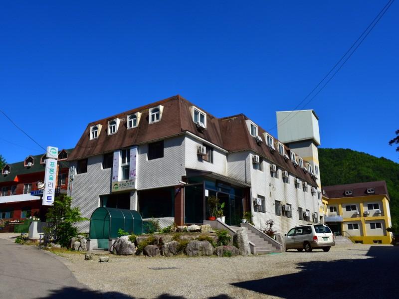 Green Forest Resort