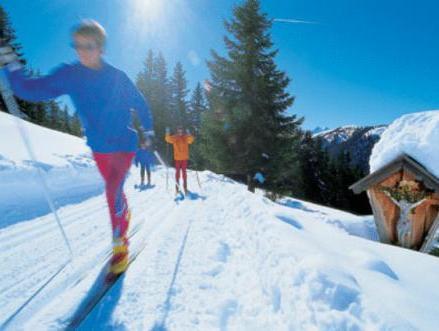 This photo about Wohlfühlhotel Tannenhof shared on HyHotel.com