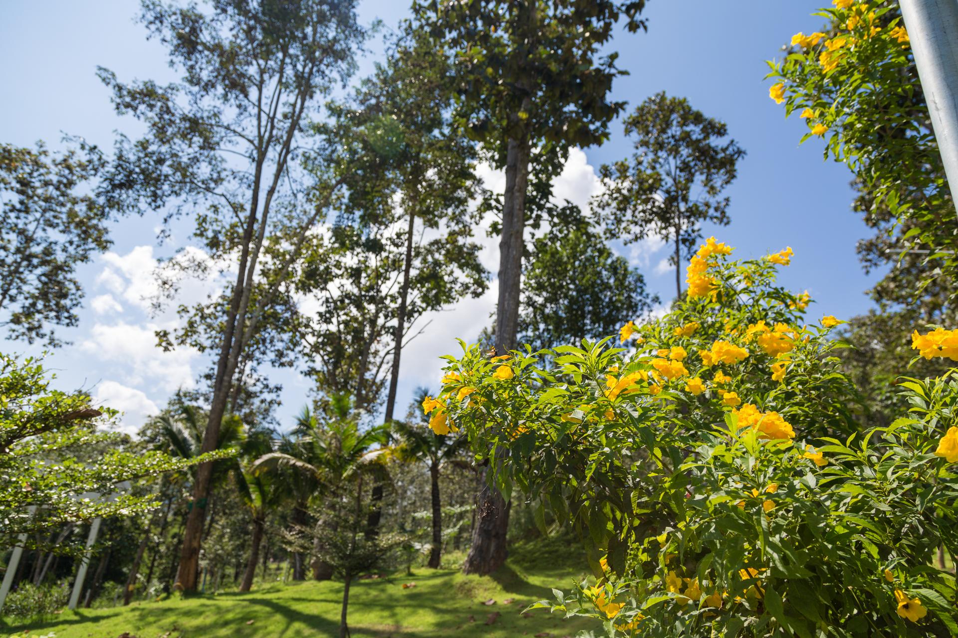 PhuPha view Doi PhuPha view Doi is perfectly located for both business and leisure guests in Chiang Mai. Offering a variety of facilities and services, the hotel provides all you need for a good nights sleep. Free W