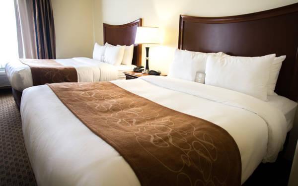 Comfort Suites San Antonio North - Stone Oak - Gallery image 3