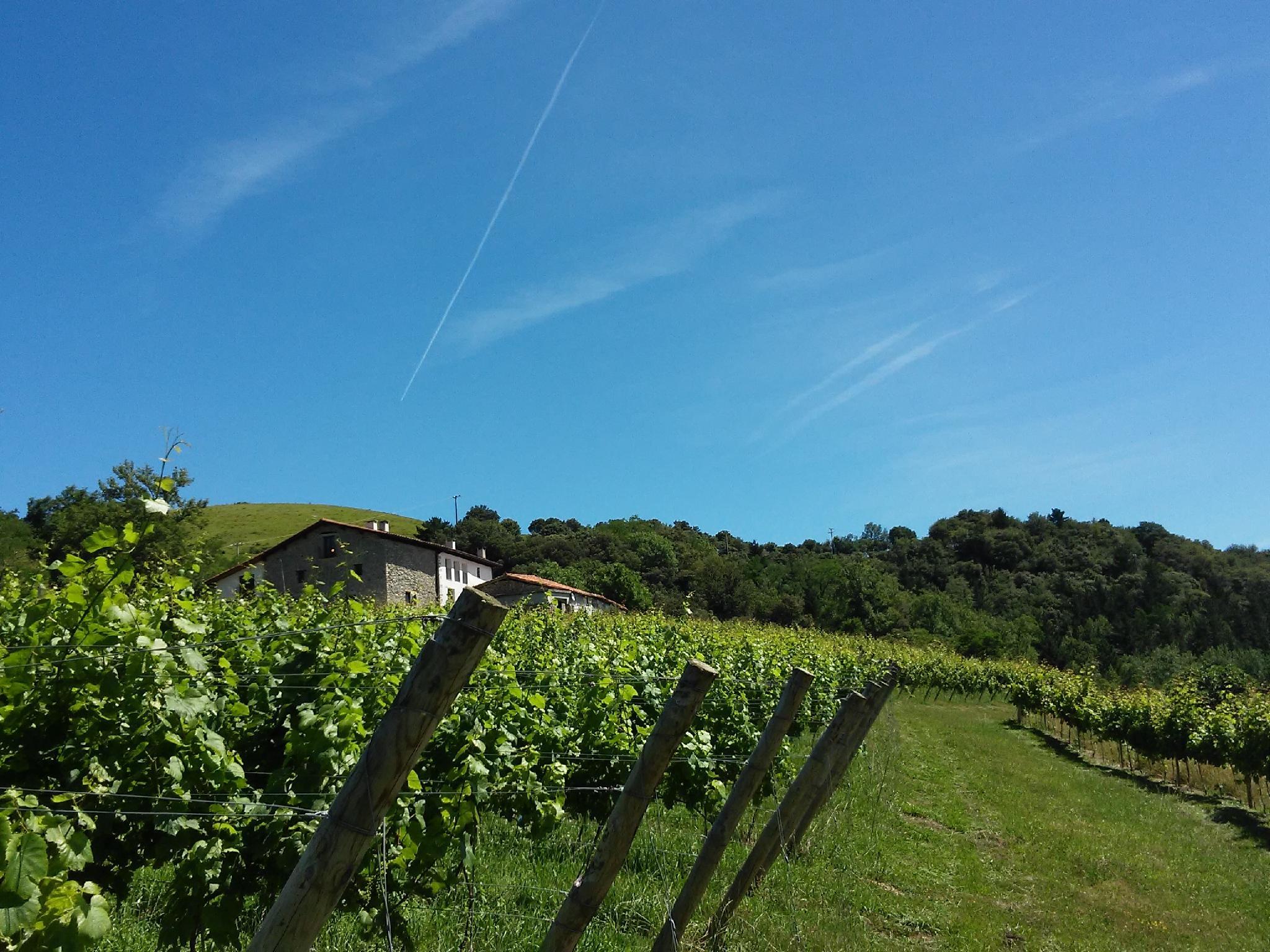 AGROTURISMO ERLETE GOIKOA, Itziar