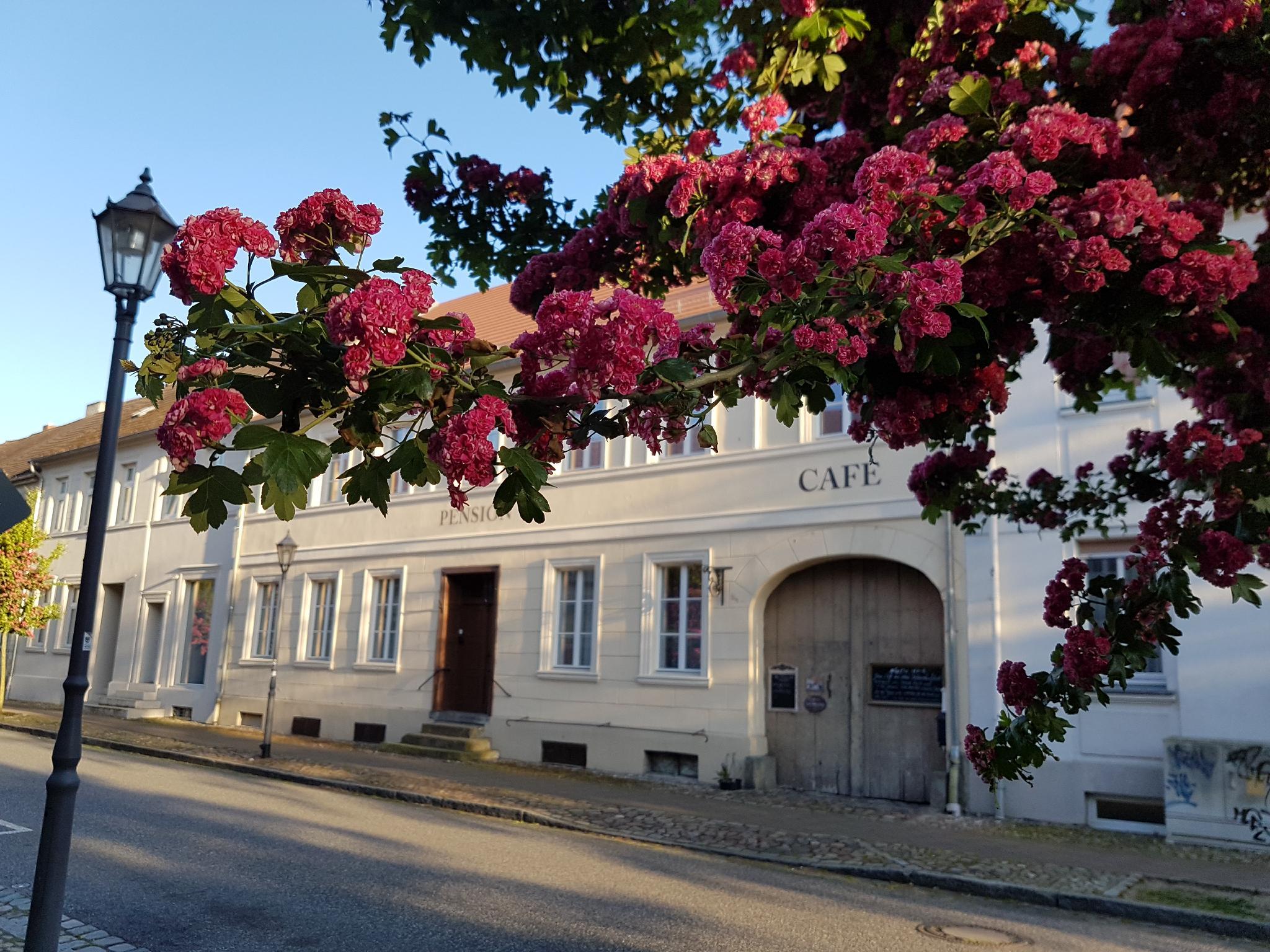 Alte Lebkuchenfabrik, Kremmen