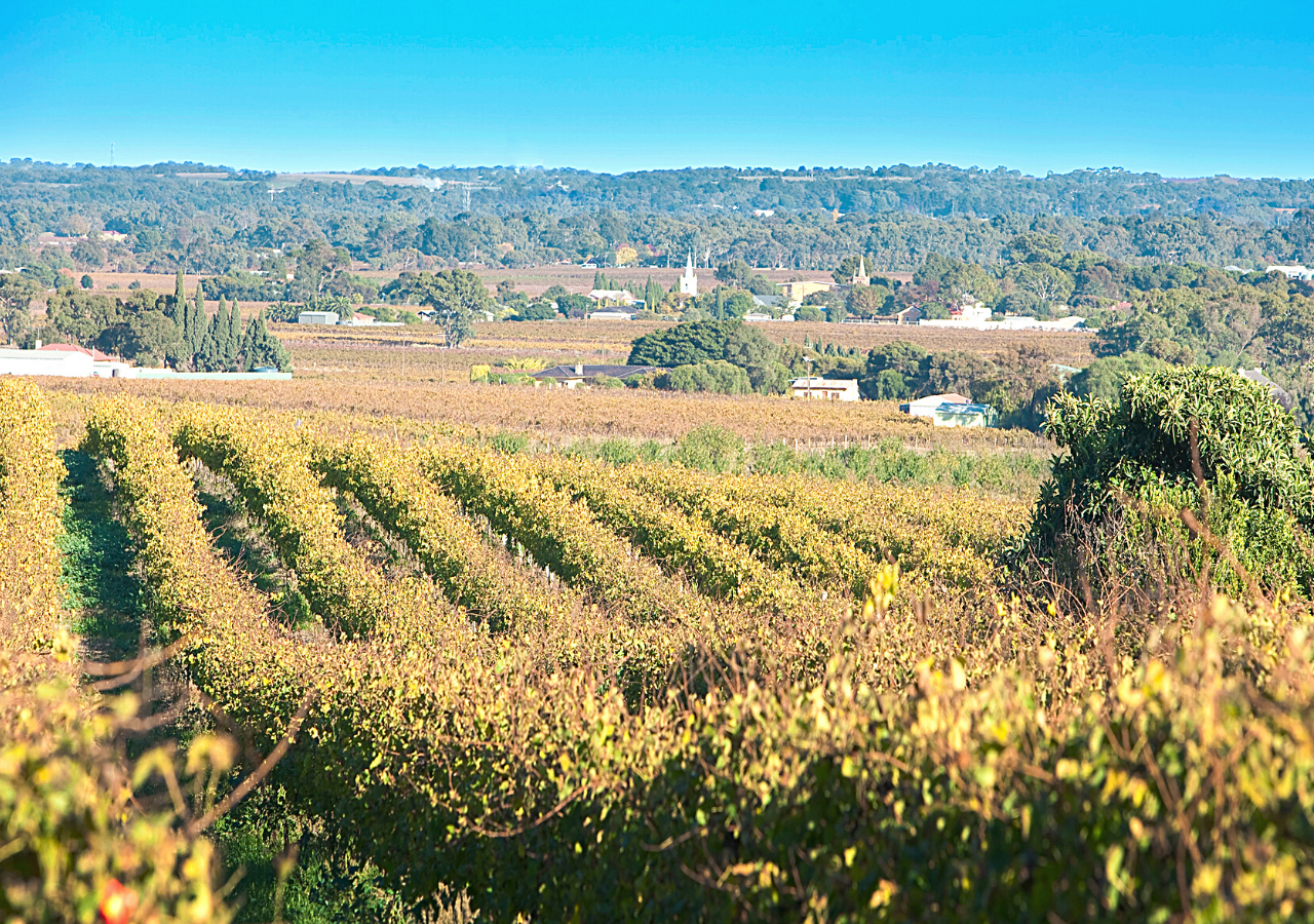 trinity cottage amazing vineyard views