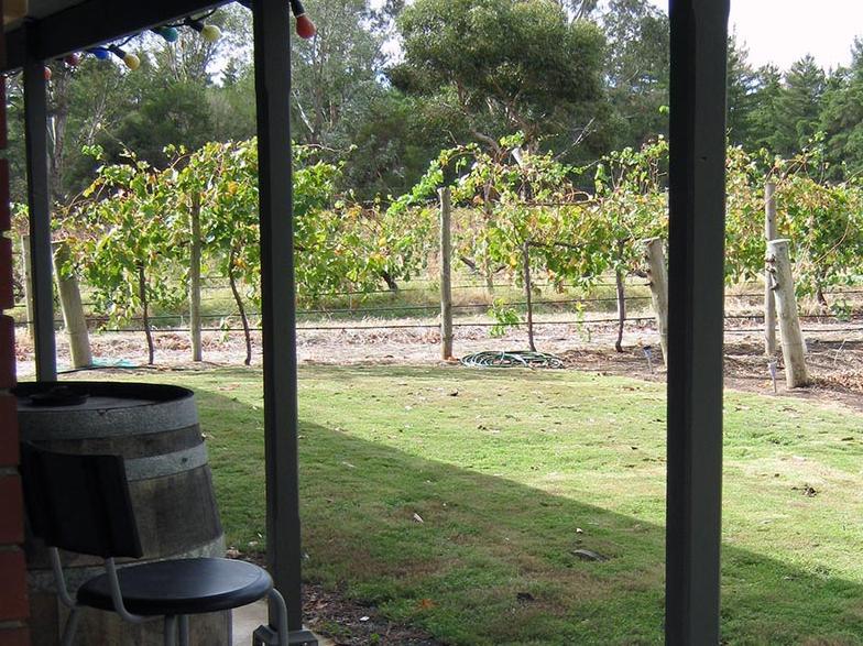 This photo about Under the Vines Bed & Breakfast shared on HyHotel.com