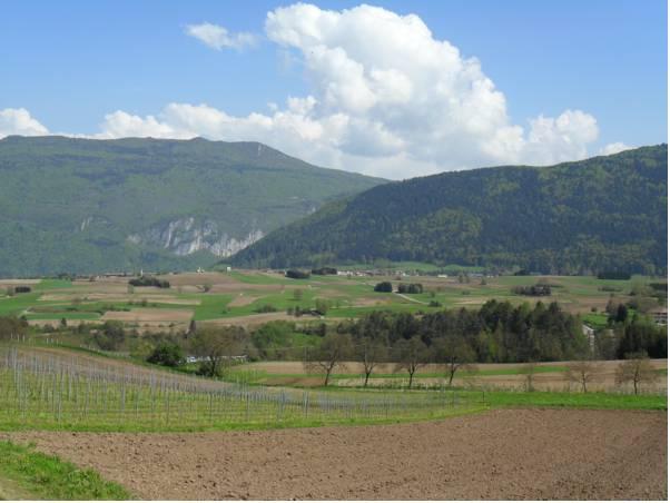 This photo about Albergo Sayonara shared on HyHotel.com