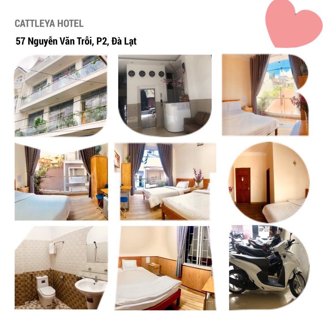 HOTELL DA LAT CATTLEYA