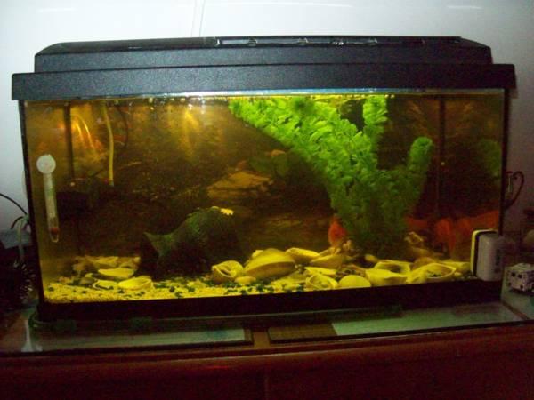 This photo about Pensiunea Norica shared on HyHotel.com