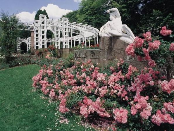 This photo about Atina Hotel shared on HyHotel.com