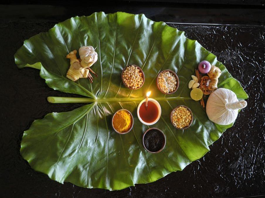 mangosteen ayurveda wellness resort sha plus