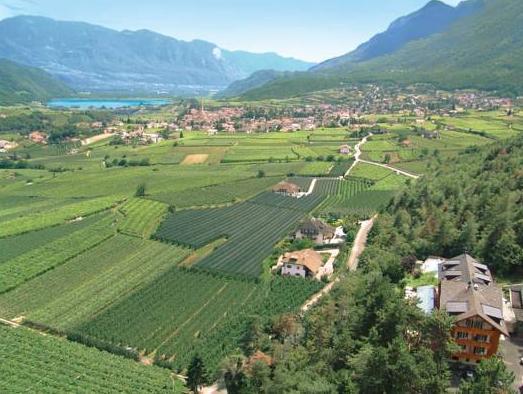 This photo about Hotel Tannerhof shared on HyHotel.com