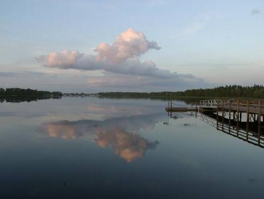 Bahama Bay Resort - Near Disney