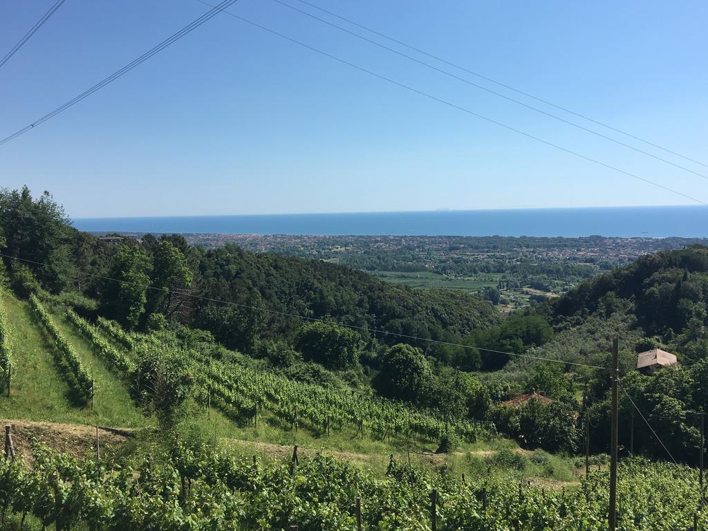 This photo about Tuscany house of Artist shared on HyHotel.com