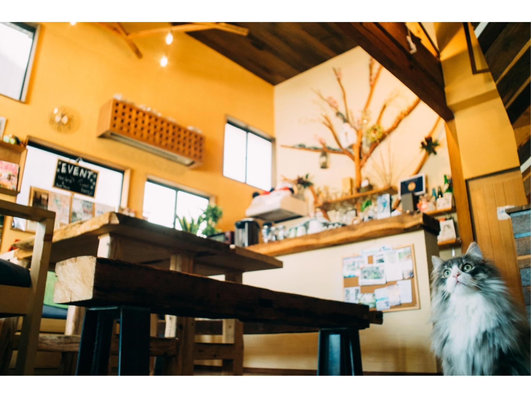 This photo about HIdatakayama Guest House tau shared on HyHotel.com