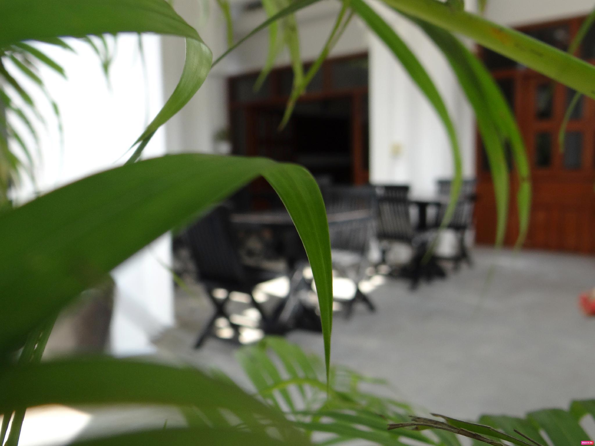 This photo about Taro Residence shared on HyHotel.com