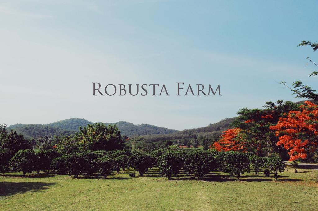 Robusta Farm #5 สตูดิโอ บังกะโล 1 ห้องน้ำส่วนตัว ขนาด 35 ตร.ม. – อุทยานแห่งชาติเขาใหญ่