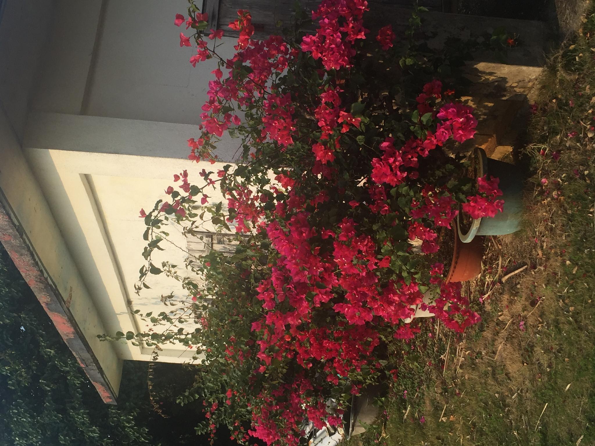 This photo about lental house minafuku shared on HyHotel.com