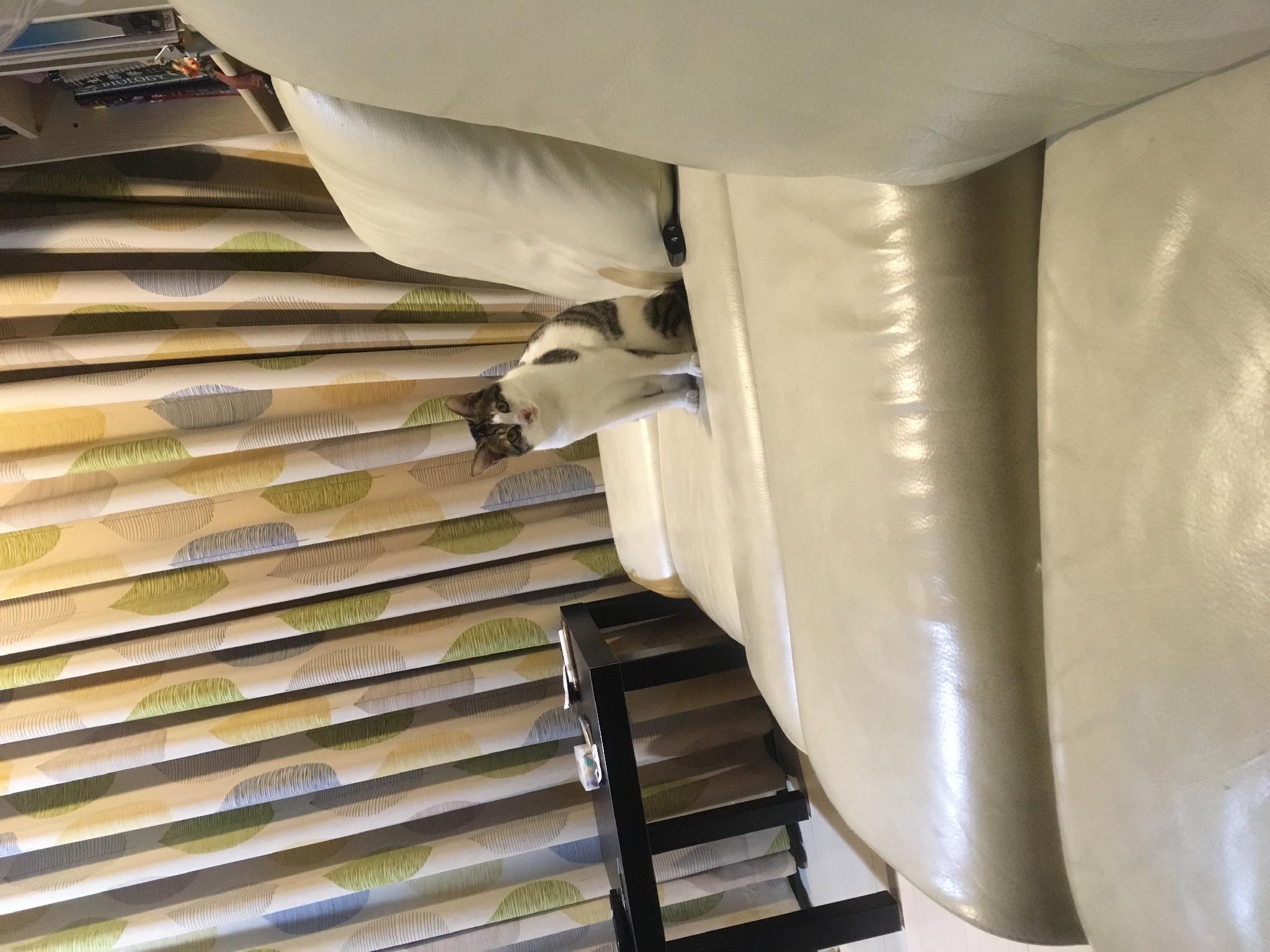 This photo about Countryside cozy two rooms apartment  shared on HyHotel.com